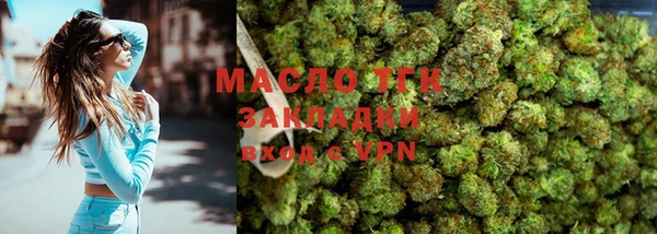 гидра Каменка