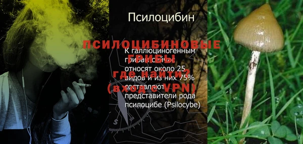 гидра Зеленокумск