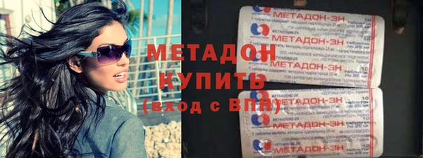 индика Туринск